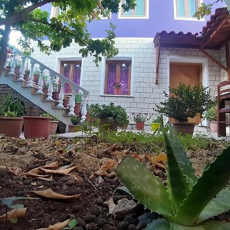 Guesthouse Hlias Gloria Berat Exterior photo